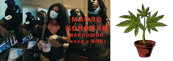 хмурый Ельня