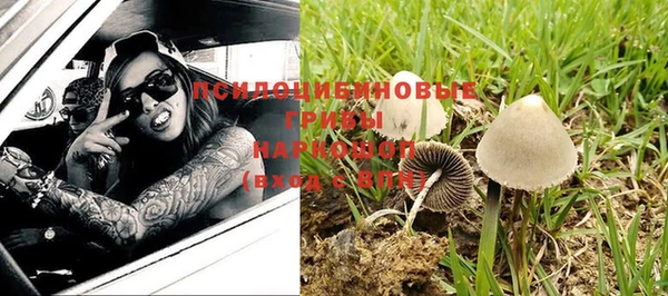 хмурый Ельня