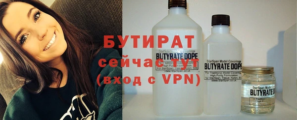 хмурый Ельня
