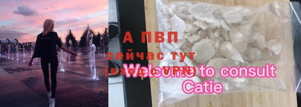 хмурый Ельня