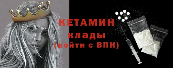 хмурый Ельня