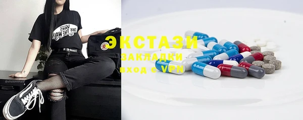хмурый Ельня