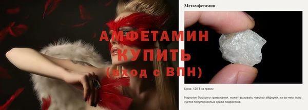 хмурый Ельня