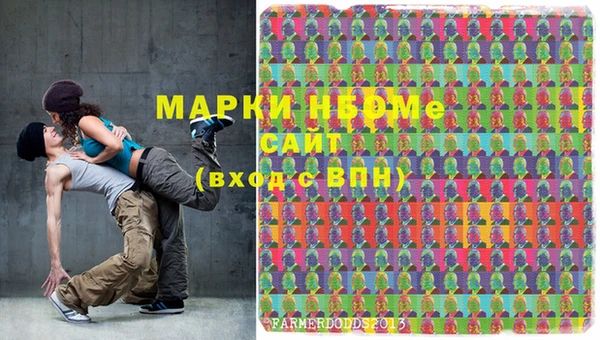 хмурый Ельня