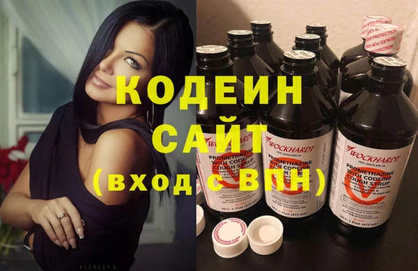 хмурый Ельня