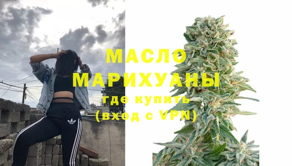 хмурый Ельня