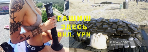 хмурый Ельня