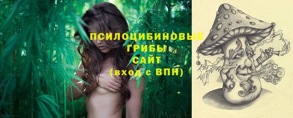 хмурый Ельня