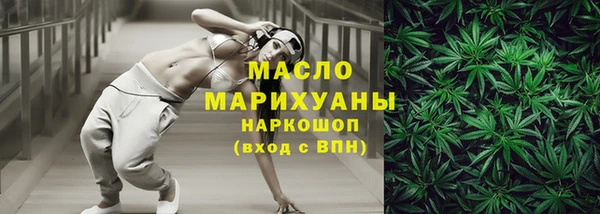 хмурый Ельня
