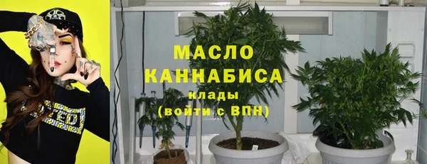 хмурый Ельня
