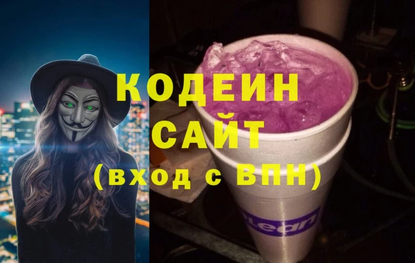 хмурый Ельня